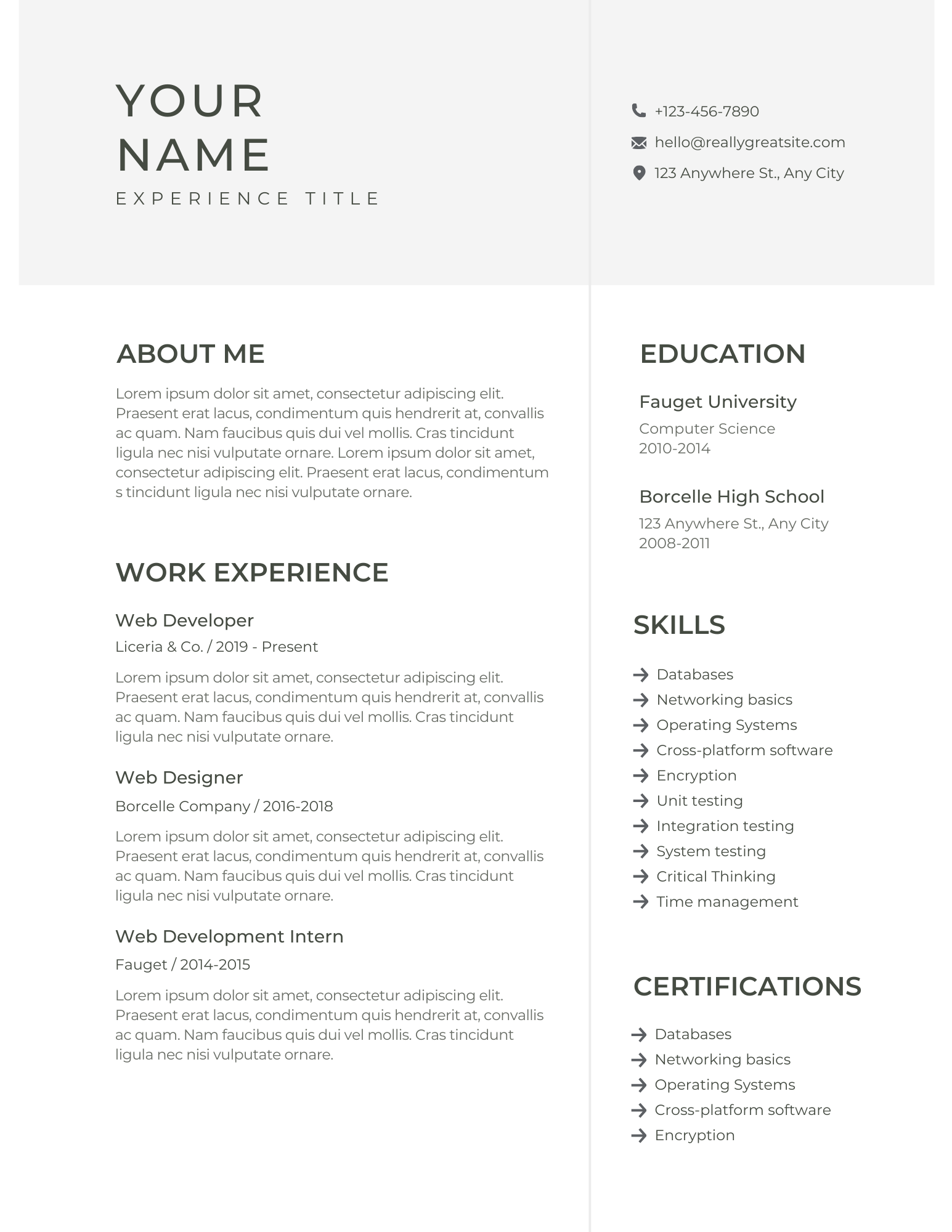 Resume Preview